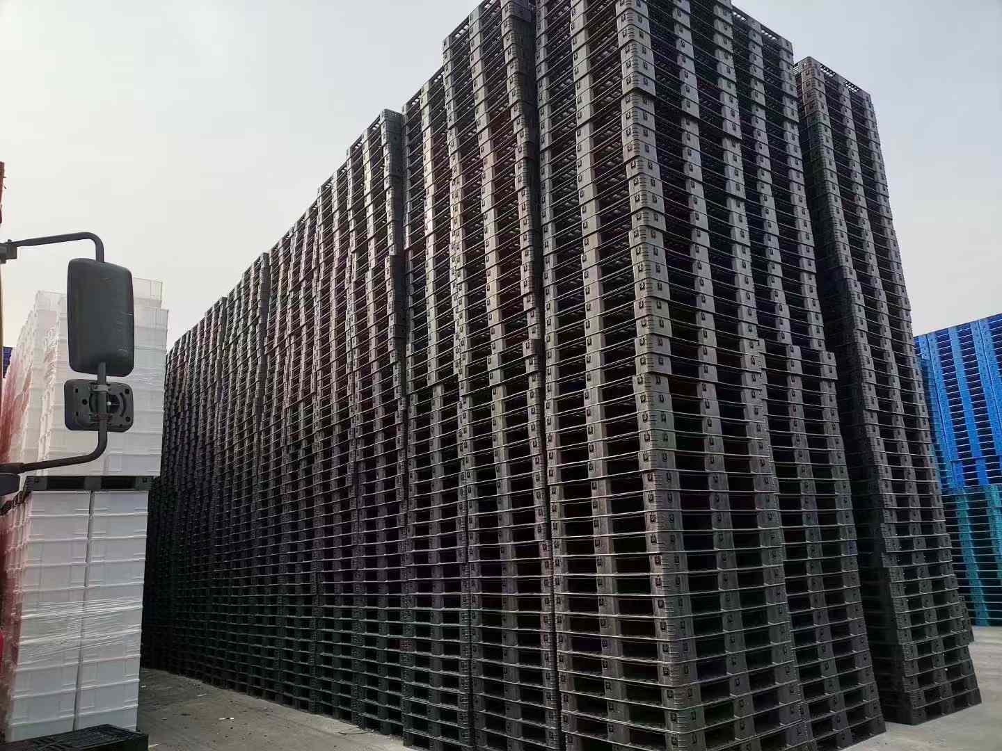 微信圖片_20241018165605.jpg
